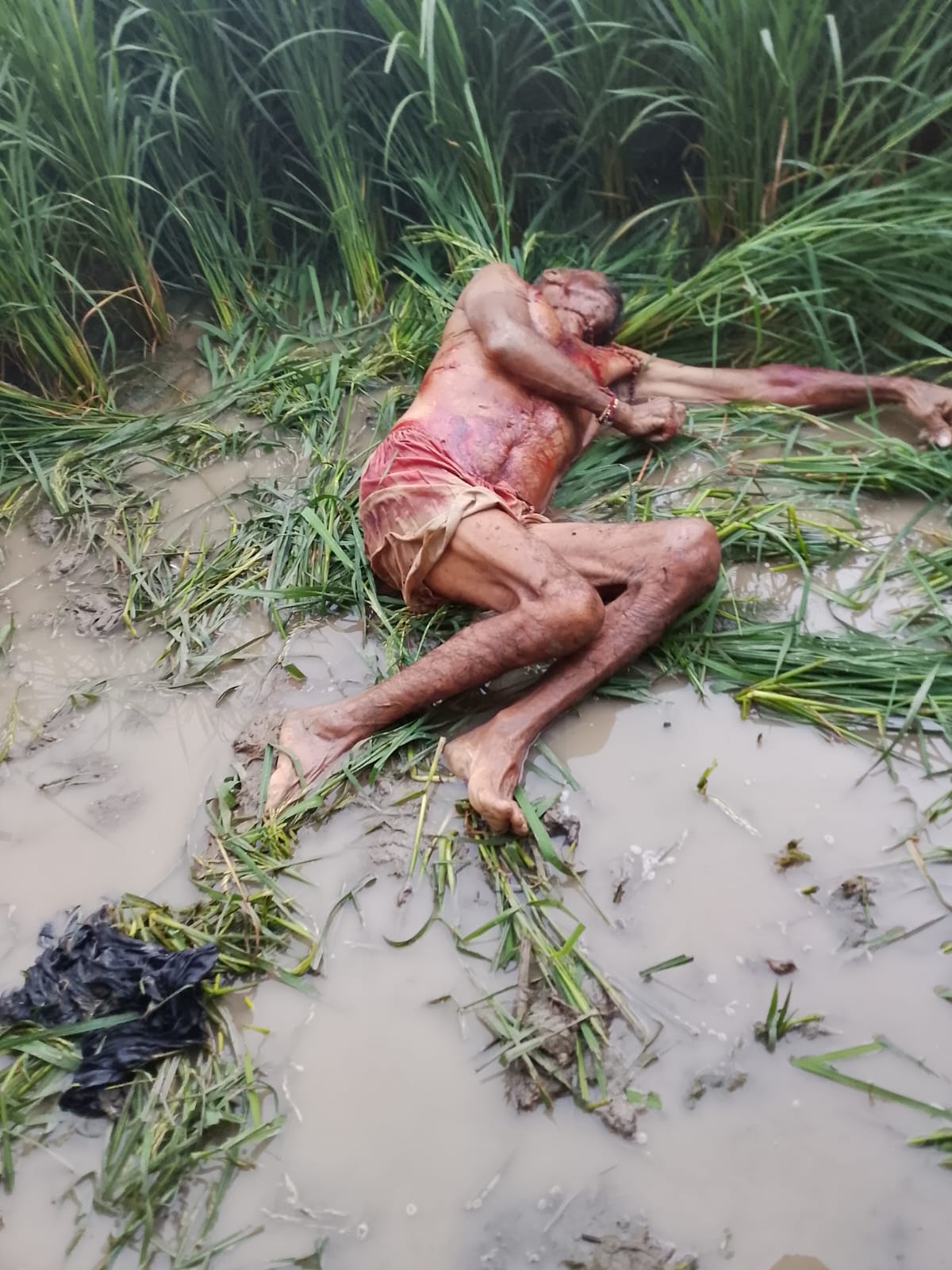 हाथरस में नलकूप पर सो रहे बुजुर्ग की हत्या 70 वर्षीय किसान को बलम से कुछ कर मार डाला खून से लटपट मिला सब