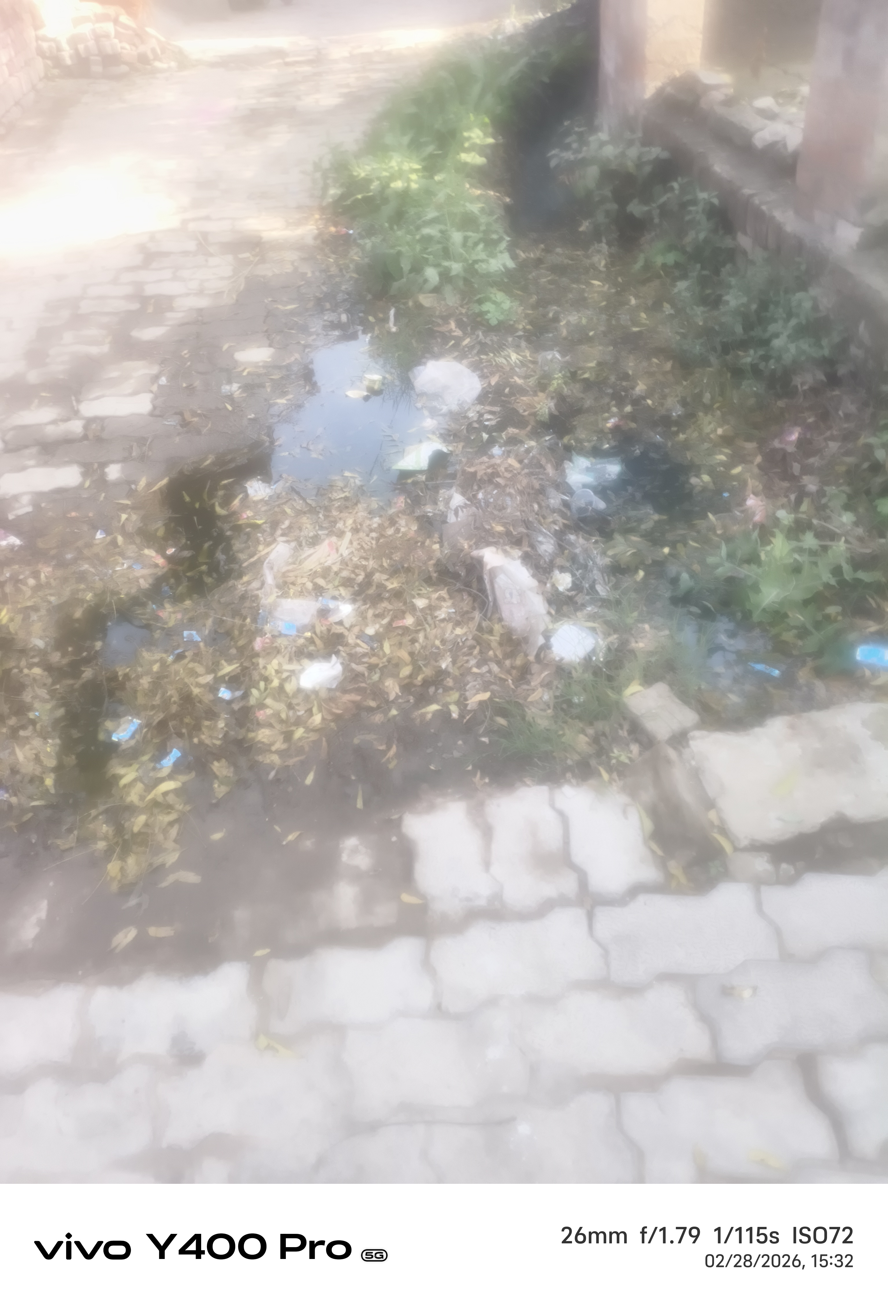 नालियों की नहीं होती सफाई, भरा कीचड़ मच्छरों का डेरा, बीमारी फैलने की आशंका