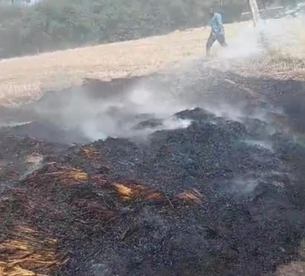 सुसनेरः क्षेत्र के समीपस्थ ग्राम खनोटा में रविवार को एक किसान के खेत में अज्ञात कारणों से आग लगने की घटना सामने आई, जिससे किसान की महीनों की मेहनत पलभर में राख हो गई।